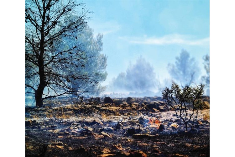 Slika Zgarište
Požar kod Žaborića
28. kolovoza 2021.
